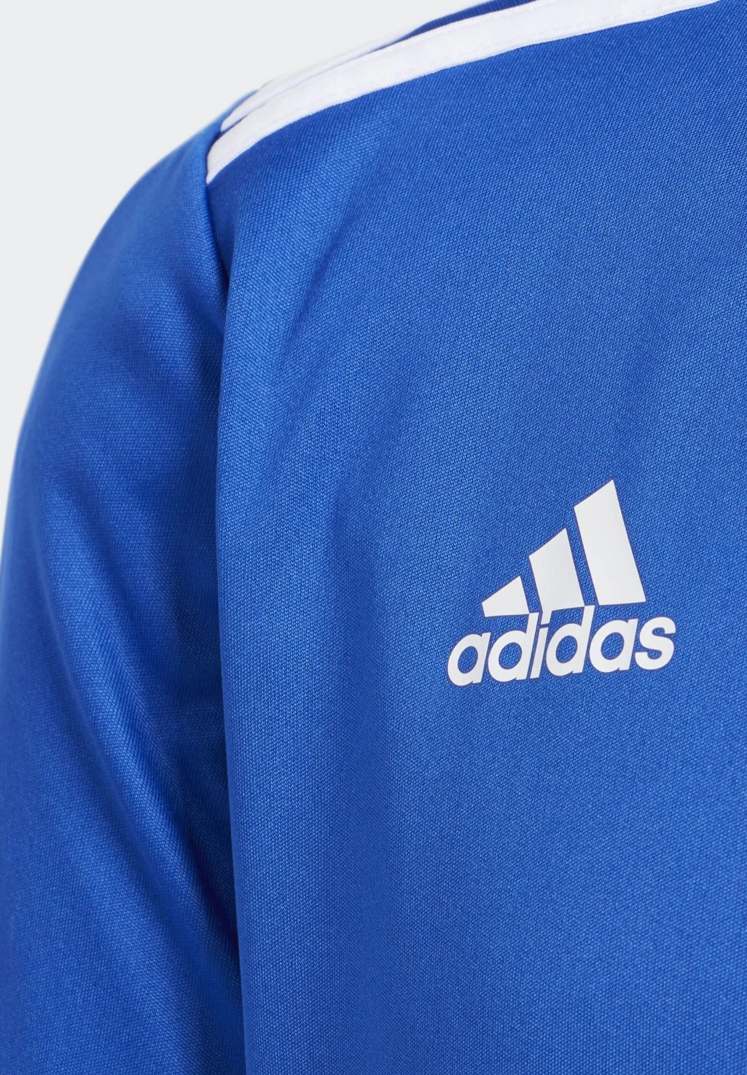 ADIDAS PERFORMANCE Entrada Jersey - Camiseta Estampada - Blue 5 ADIDAS PERFORMANCE Entrada Jersey - Camiseta Estampada - Blue - Imagen 5