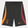 Nike Performance Galatasaray Stadium Unisex - Pantalón Corto De Deporte - Black/Pepper Red/Vivid Orange 6 Nike Performance Galatasaray Stadium Unisex - Pantalón Corto De Deporte - Black/Pepper Red/Vivid Orange -ADIDAS PERFORMANCE Ventas 6f329793522a43a5bb30d13dca78d71b
