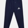 ADIDAS PERFORMANCE Entrada 22- Pantalones Deportivos - Team Navy Blue 2